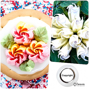 Насадка Цветок №104 Жасмин | L размер (Russian Flower Nozzle #104 - Jasmin | L size | By Tulip Workshop)